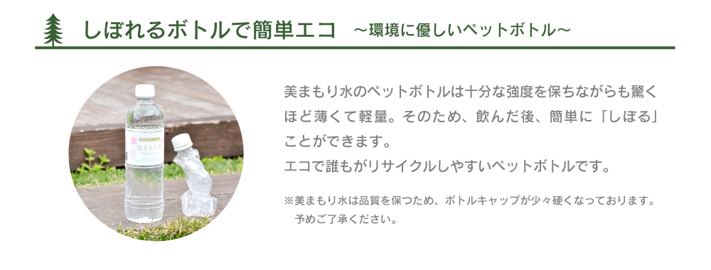 美で大注目のシリカって？